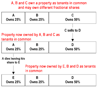 Tenancy In Common (TIC) Explained: How It Works and Compared to